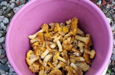 Siedlisko Nasza Chata - Foto 22