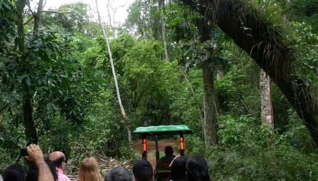 Güirá Oga è circondato da foreste