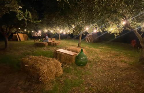 Masseria Frangiosa - Foto 17