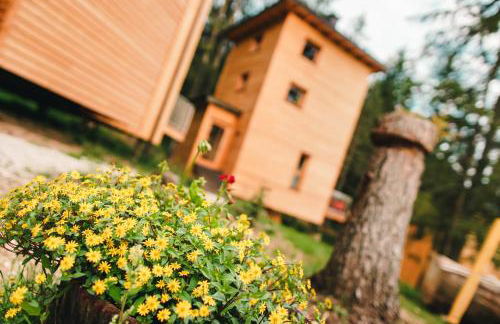 Forest Chalet Resort FELIZITAS - Foto 54