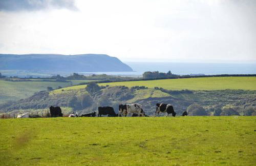 3 Bed in Dinas oc-lazyno - Photo 35