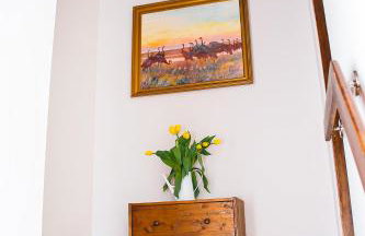 Kurort Mirowice-domek w lesie, z balią z jacuzzi i hydromasażem - Foto 29