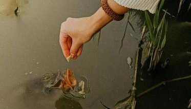 Domek nad Rozlewiskiem klimatyzacja, 2 sypialnie, parking - Foto 2