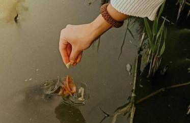 Domek nad Rozlewiskiem - Foto 2