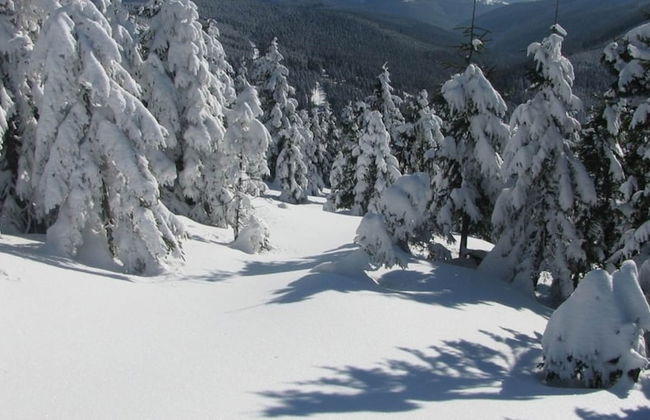 Holiday Home With Garden in Quiet Mountain Village - Foto 42