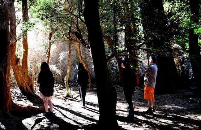 Llao Llao Trekking - Privat - Foto 1