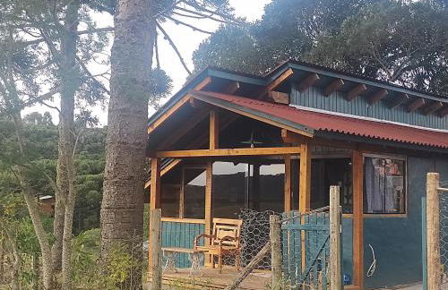 Na'raucária - Foto 25