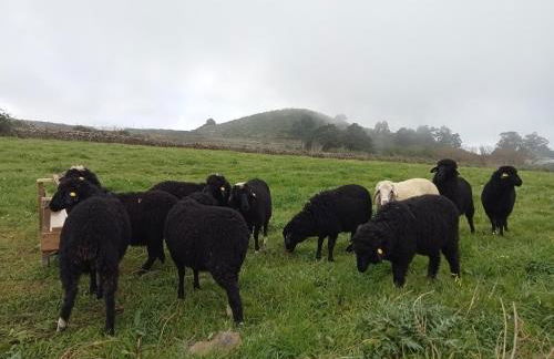 Casa Ben Abora - Foto 22