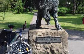 Białowieża Spanie na sianie Puszcza Białowieska - Foto 11