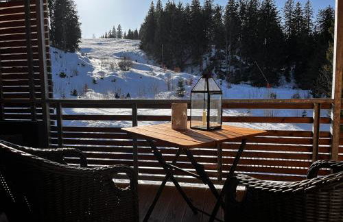 Stube9 am Feldberg, direkt an der Skipiste, Ski in-Ski out - Photo 6