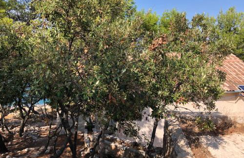 Hvar island -Enjoy Your privacy by the sea - Foto 4