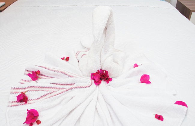 0047Cozy 1 bedroom Ocean View Cabarete - Photo 3