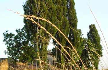 Corte Motte - Photo 38