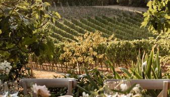 Cascina Bella Relais - Foto 2, Garden, Garden view