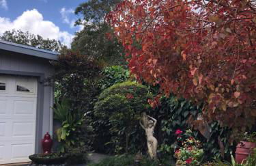 The Secret Garden Room - Foto 23