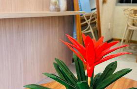 Sunset Villas Milagres - Casa Anahi - Foto 18