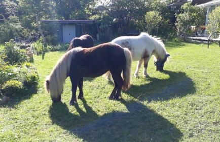 Studio Luise - Foto 27