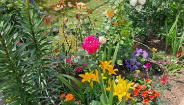 Casa Vacanze Kristina - Foto 3