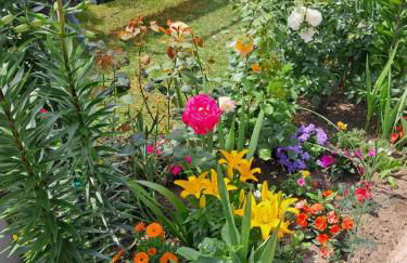 Casa Vacanze Kristina - Foto 3