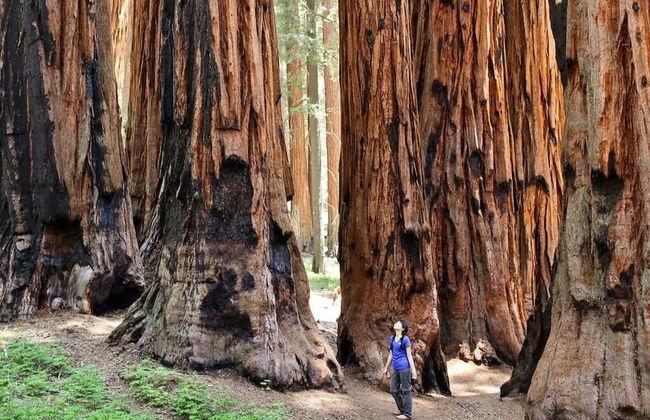 St Anna's House - Foto 51