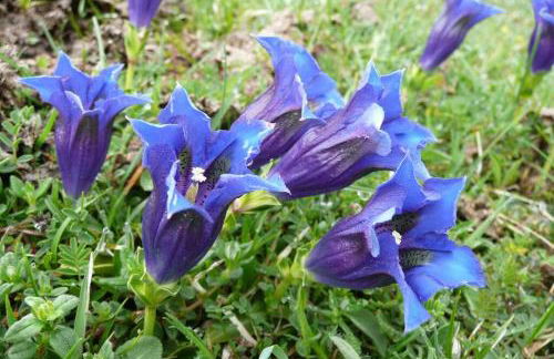Appartement RDC maison de village - Foto 17