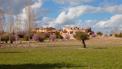 Las Viñas Pinilla - Foto 2