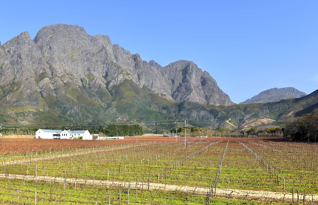 Holden Manz Country House - Photo 36