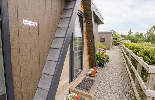 Hydrangea - Photo 15