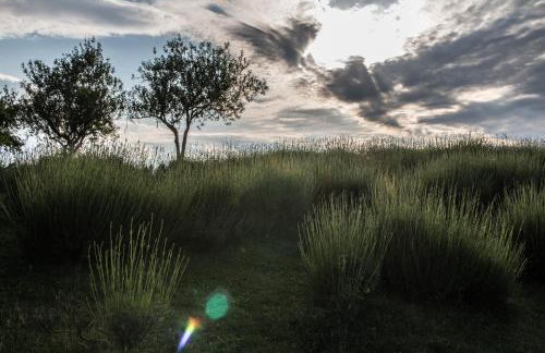 Lavanda farm apartmani - Foto 115