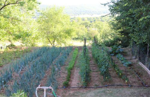 Studio apartment Lila - Foto 32