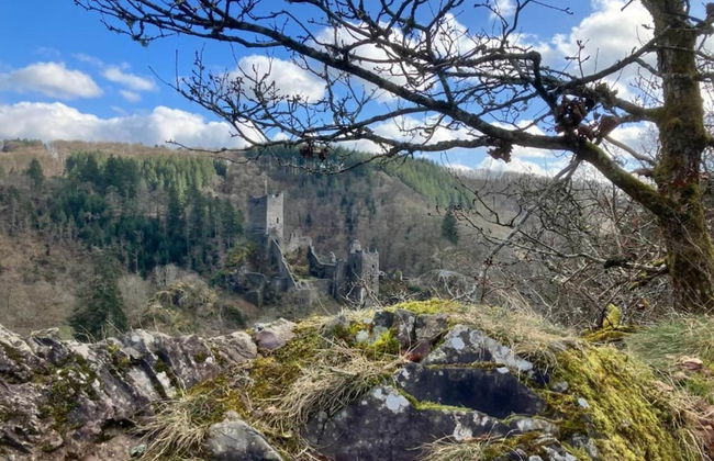 Wunderschone Ferienwohnung im Burgenland - Photo 39