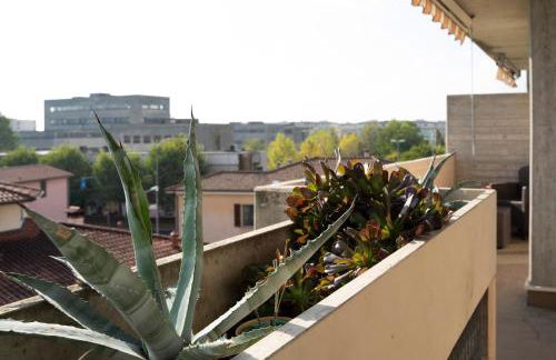 Edo's House - Photo 17