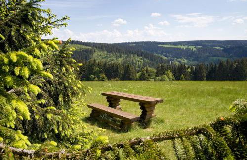 Panoramaferienwohnung Bergwiese - Foto 19