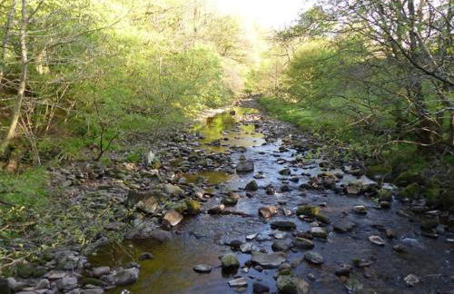 The Riverside Tailor's Retreat at Wray - Foto 46