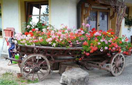 Agritur Ciasa Dò Parè - Foto 33