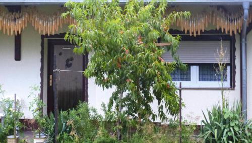 Reihenhaus in Lubben an der Spree - Foto 2