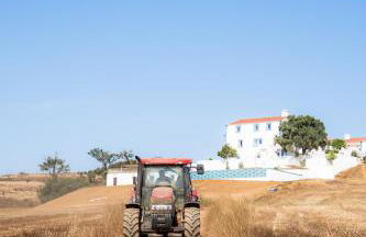 Herdade do Carregouçal - Foto 48