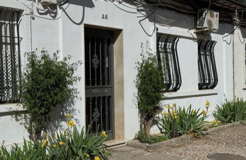 Apartamento Algafequi con terraza privada - Foto 40