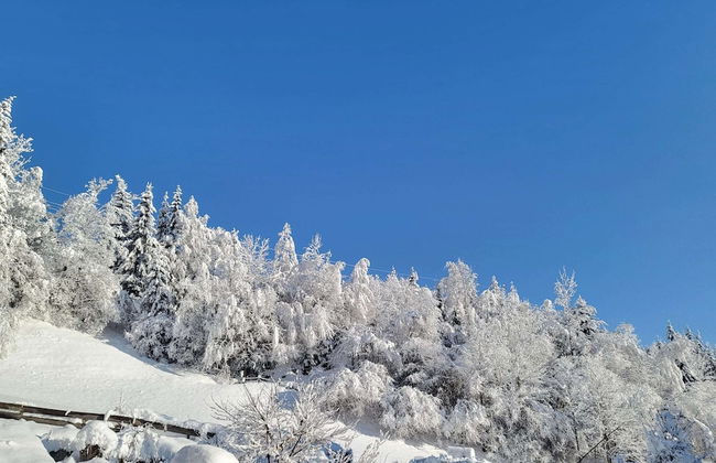 Apartment in Hohe Tauern Near Wildkogel Arena - Foto 20