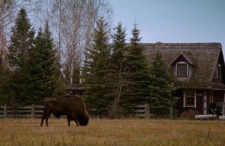 Uroczysko Teremiski - Foto 23