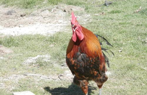 Casa Rural El Dolmen - Foto 36