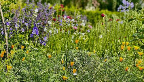 KulturGut Ulrichshalben - Foto 2, Garden, Garden view