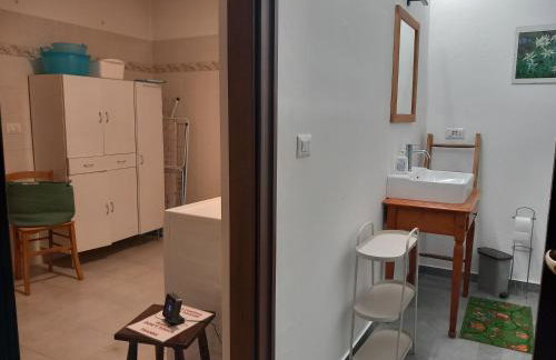 The Green Owl - Foto 45