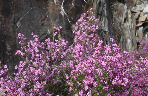 A Avozinha - Arouca - Foto 73