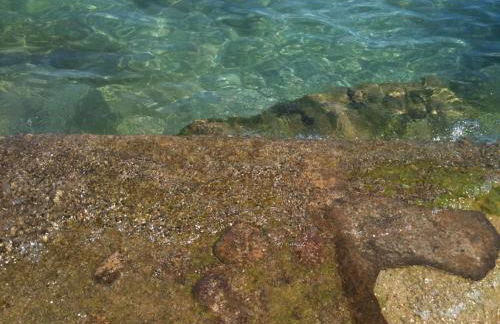 Punta Del Corno Agriturismo - Foto 34