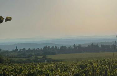 House with a view in Tuscany - Foto 58