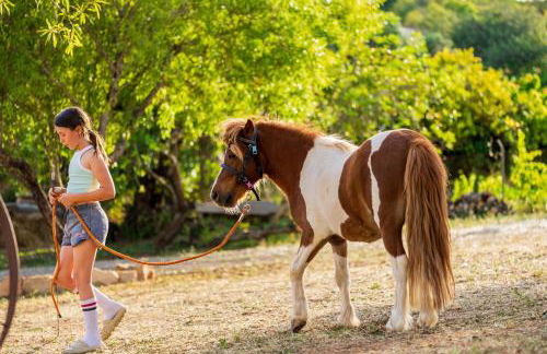 La Quinta da Liberdade - Ferme de charme en Algarve - Foto 80