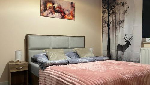 Apartament Wiktoria Zawiercie - Foto 4