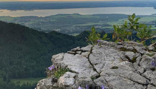 Ferienwohnung Panorama inkl. Chiemgaukarte - Foto 5