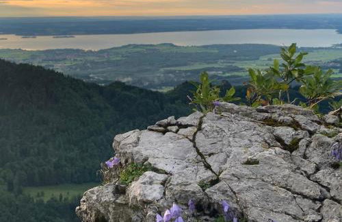 Ferienwohnung Panorama inkl. Chiemgaukarte - Foto 5